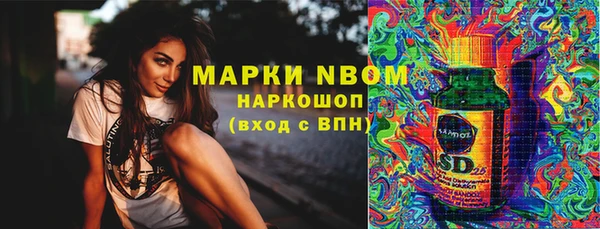 индика Армянск