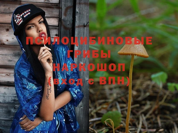 индика Армянск