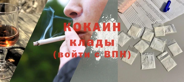 индика Армянск