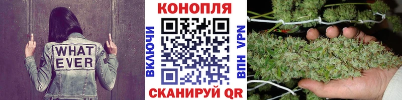 купить наркотик  Приморск  Бошки марихуана сатива 